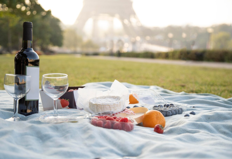 Day Trips from Paris for Wine Lovers
