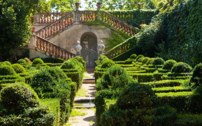 Secret Luxury Courtyards and Hidden Gardens of Paris