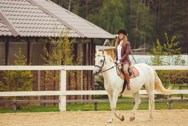 Elite Equestrian Estates in Europe Offering High-End Riding Holidays