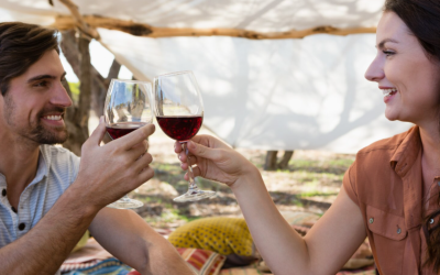 Spain’s Most Tasteful Wine Regions for Discerning Visitors